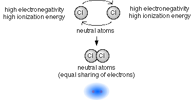 Shared Electrons