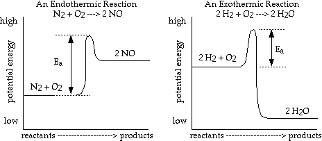 activation energy graph endothermic